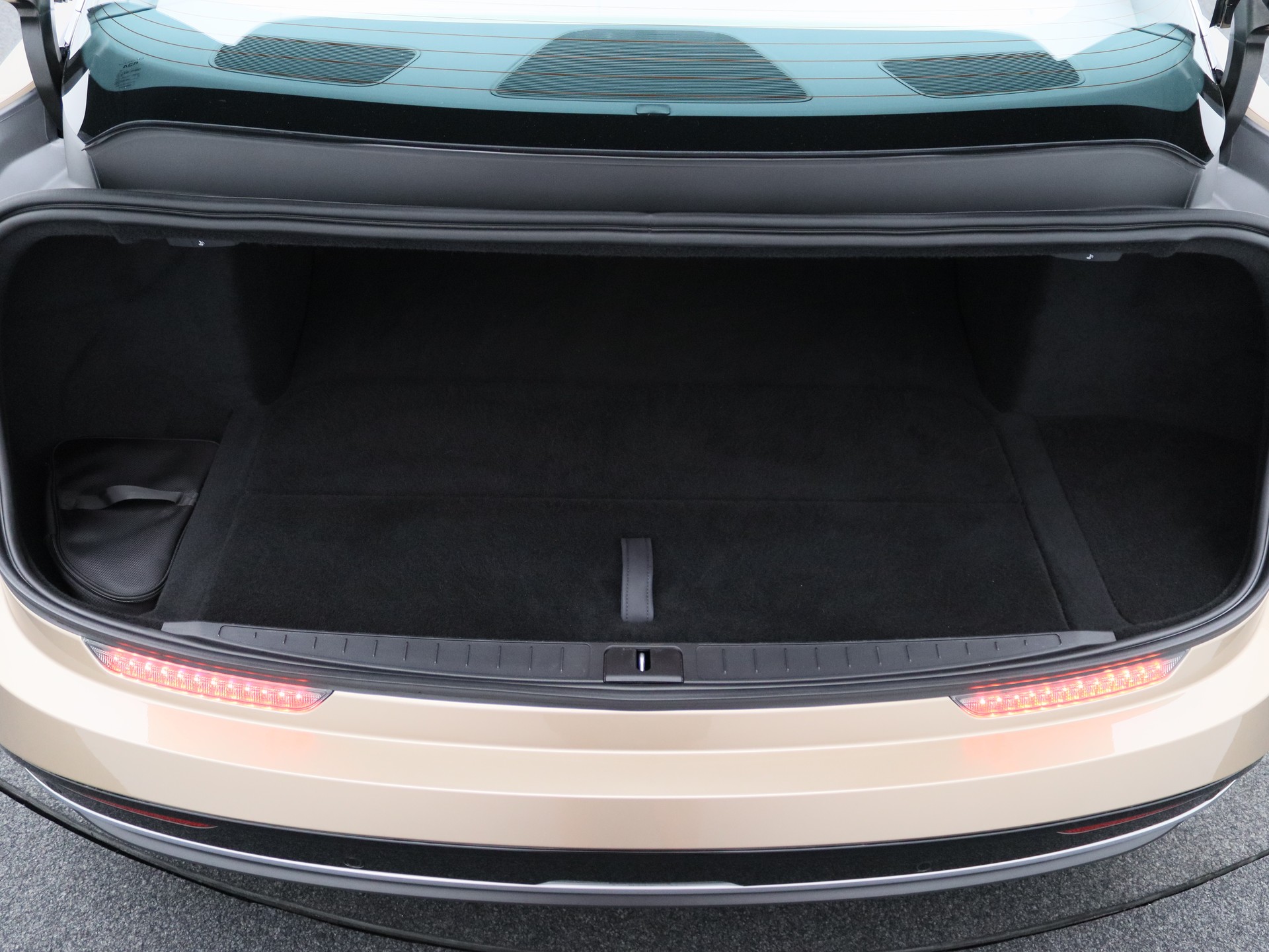 LUCID Air 118 kWh Performance Dream Edition-image-14