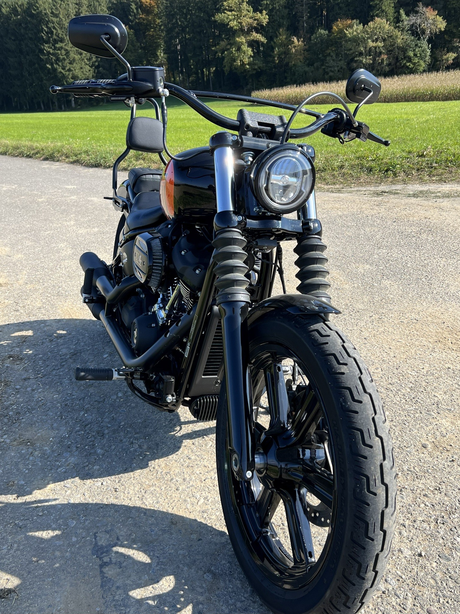HARLEY-DAVIDSON FXBBS Street Bob 114-image-2