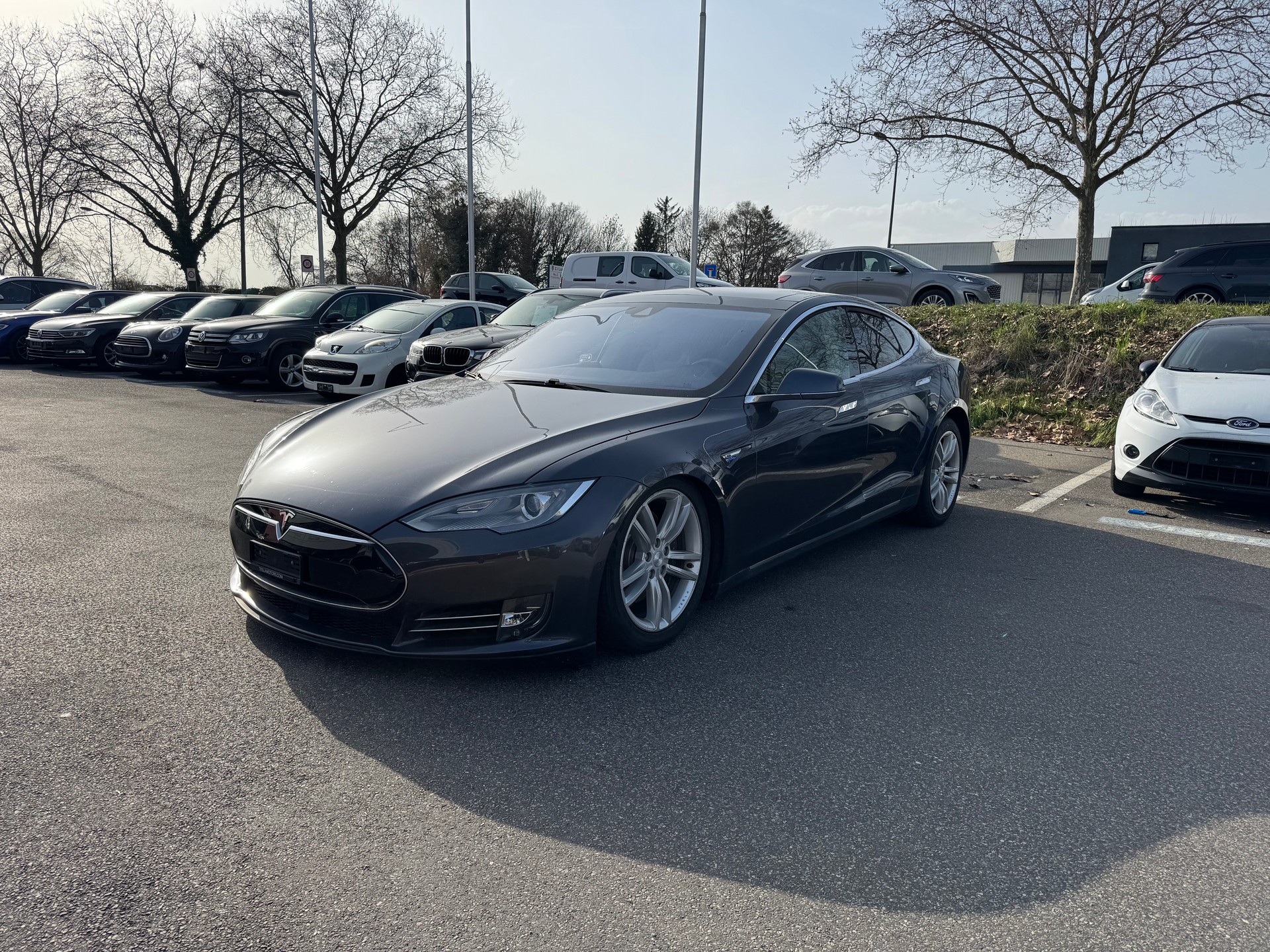TESLA Model S 85 D-showroom-element-3