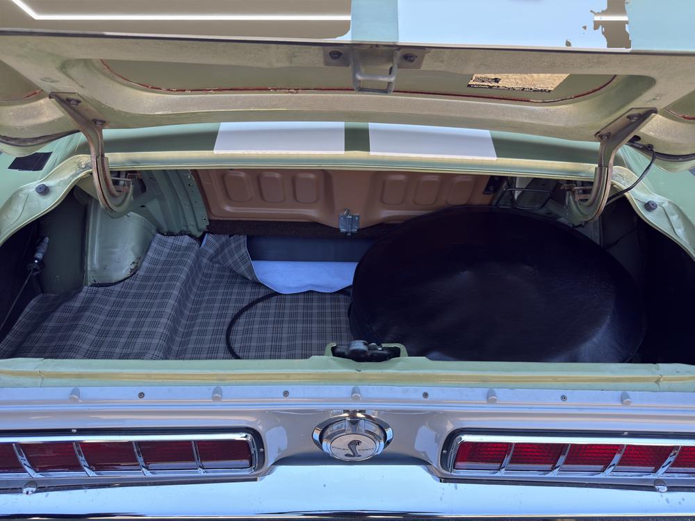 FORD MUSTANG-image-14