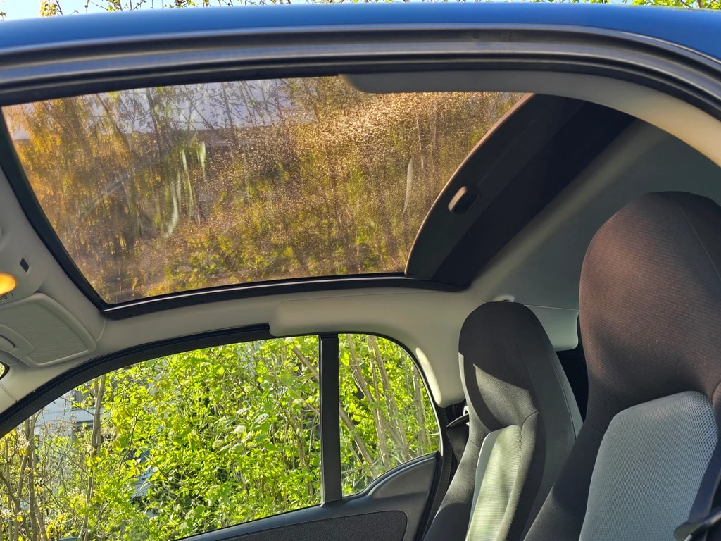 SMART fortwo pulse softip-image-12