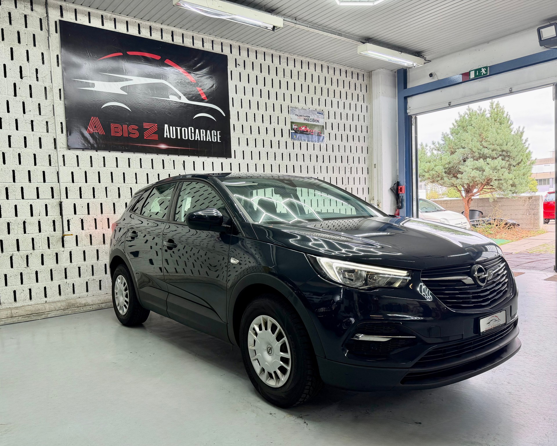 OPEL Grandland X 1.2i TP Grandland X-showroom-element-2