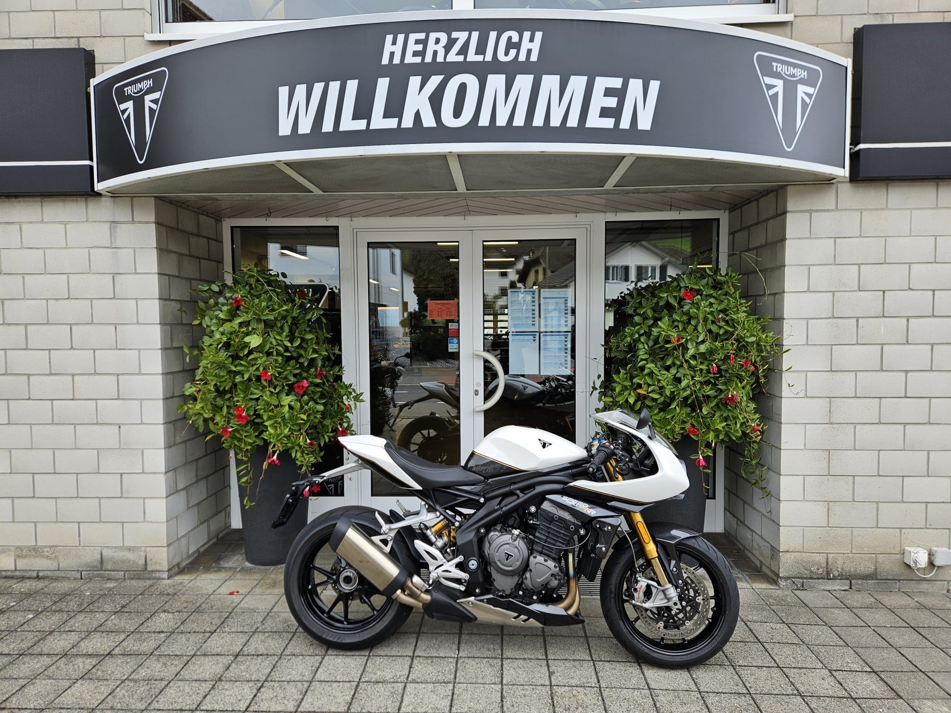 TRIUMPH Speed Triple RR-image-0