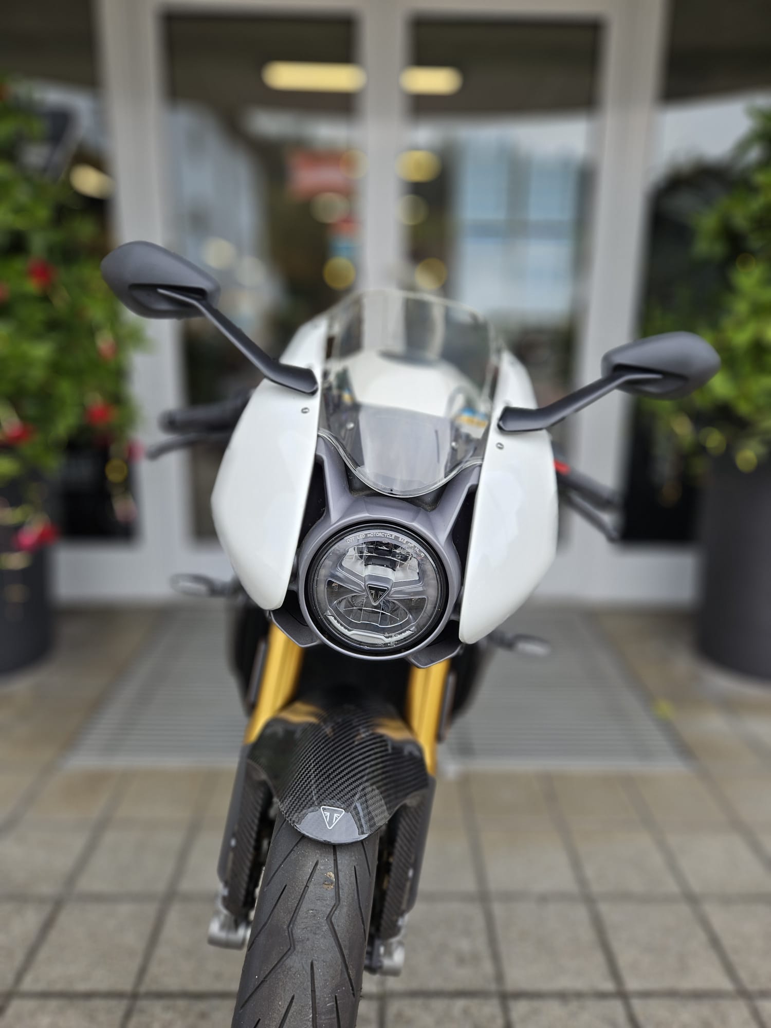 TRIUMPH Speed Triple RR-image-6