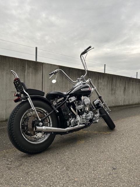 HARLEY-DAVIDSON FLH-image-2