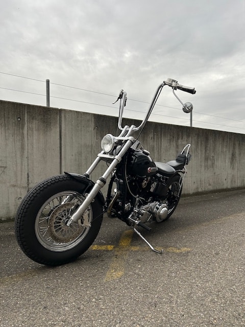 HARLEY-DAVIDSON FLH-image-4