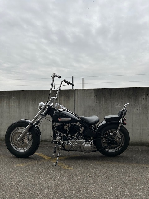HARLEY-DAVIDSON FLH-image-3