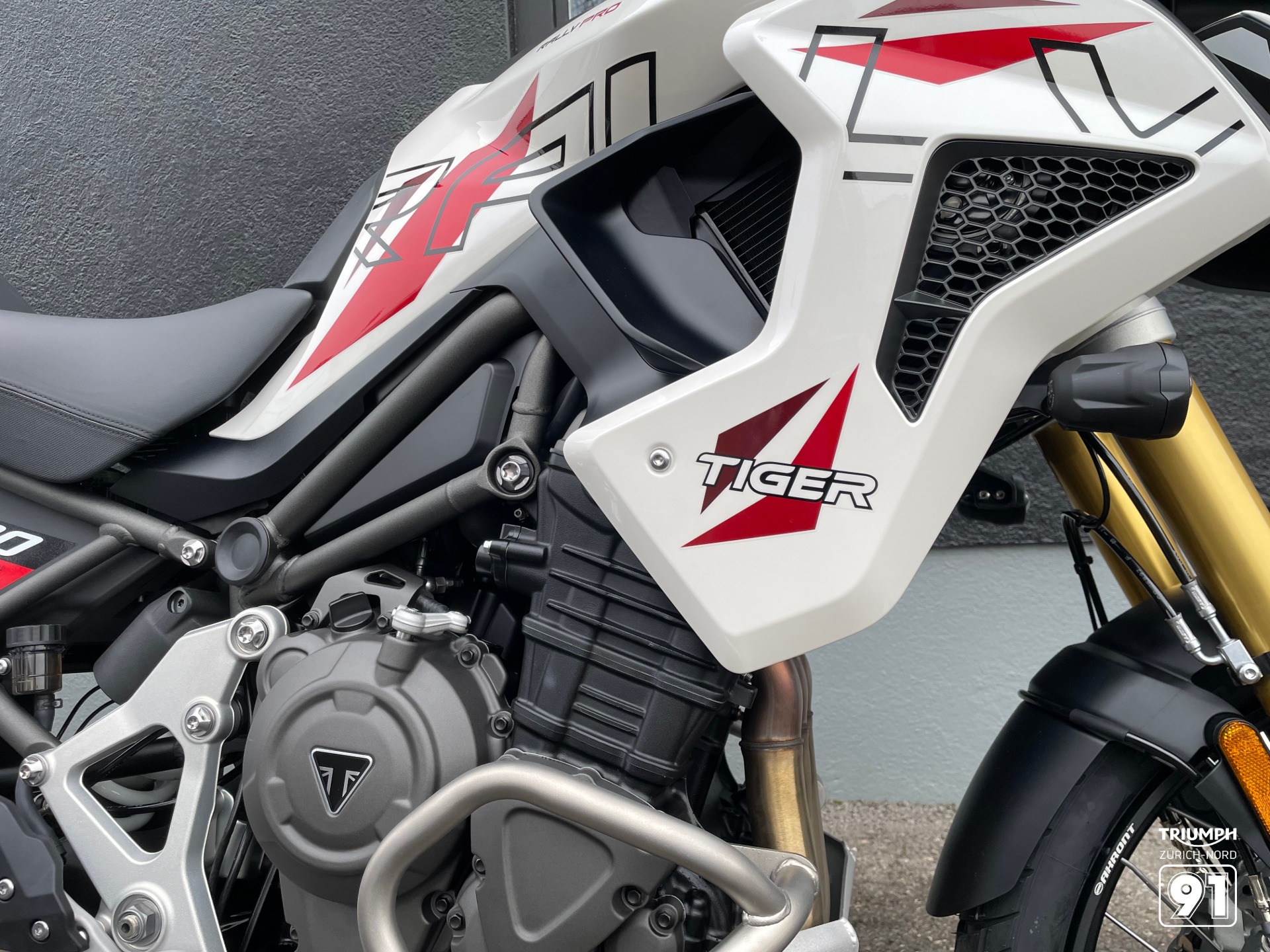 TRIUMPH 1200 Desert Edition-image-3