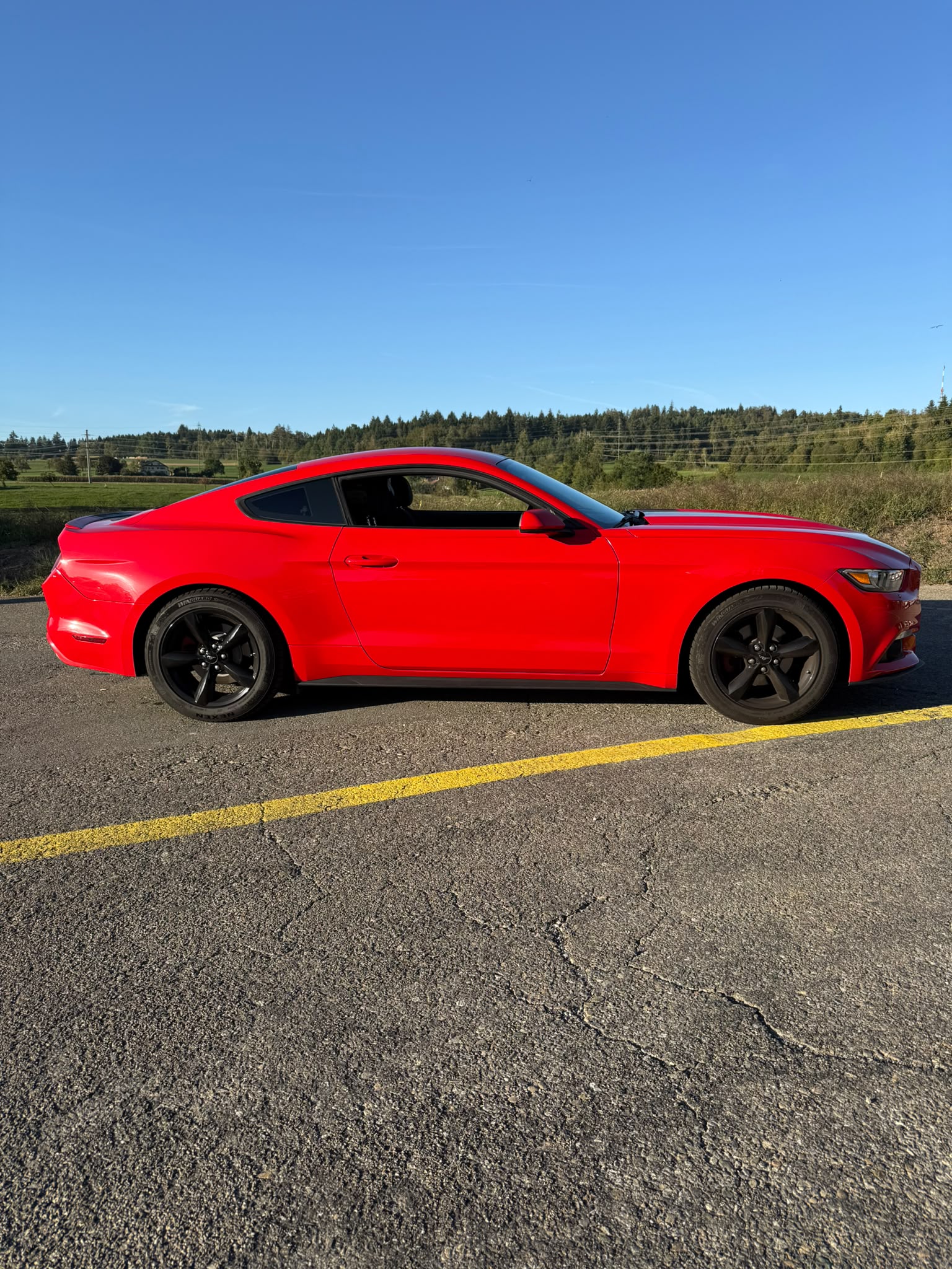 FORD MUSTANG-showroom-element-1