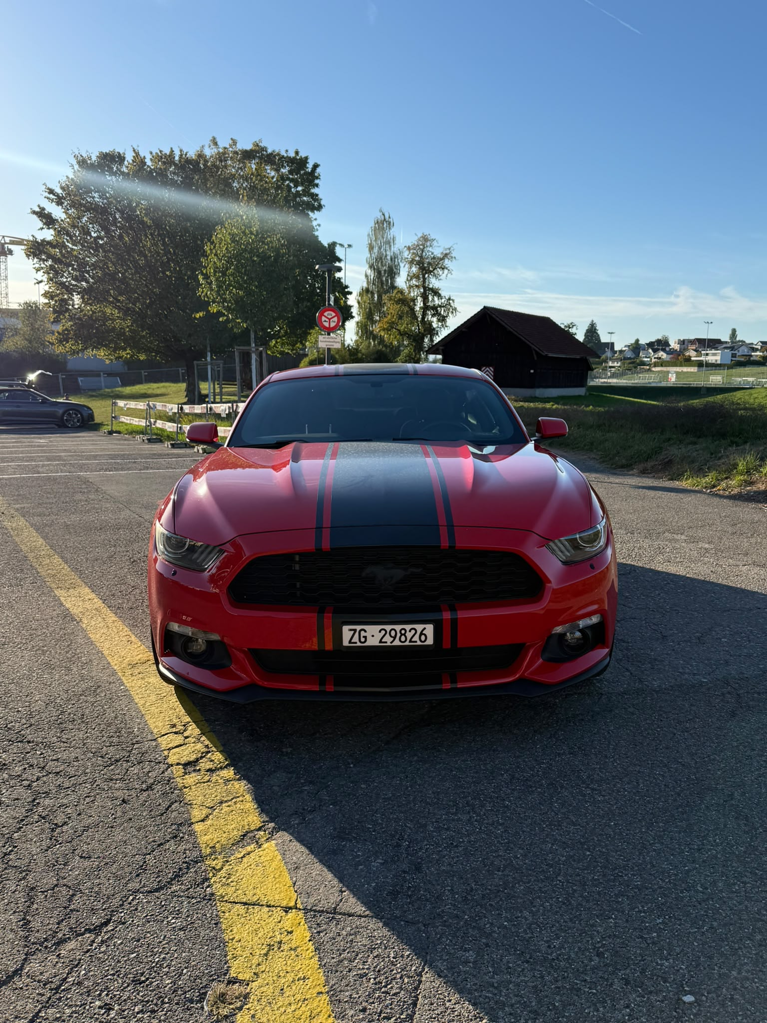 FORD MUSTANG-image-5
