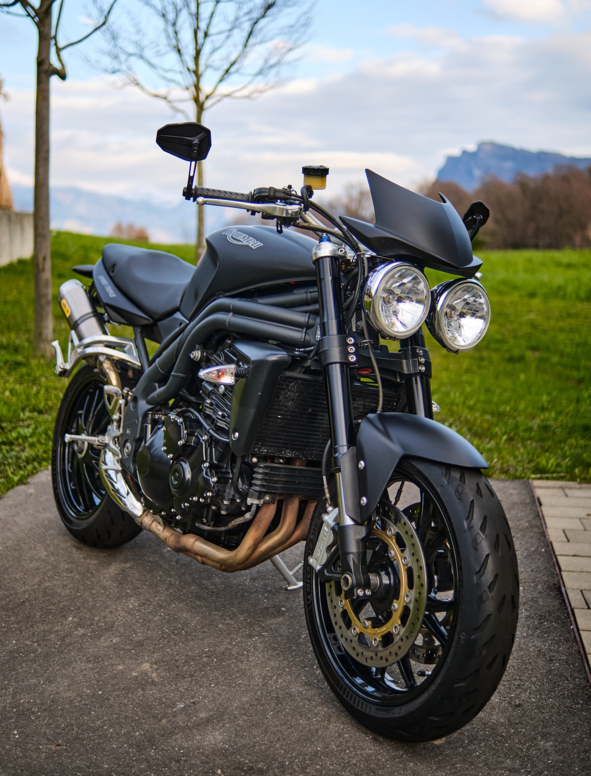 TRIUMPH Speed Triple 1050-image-7