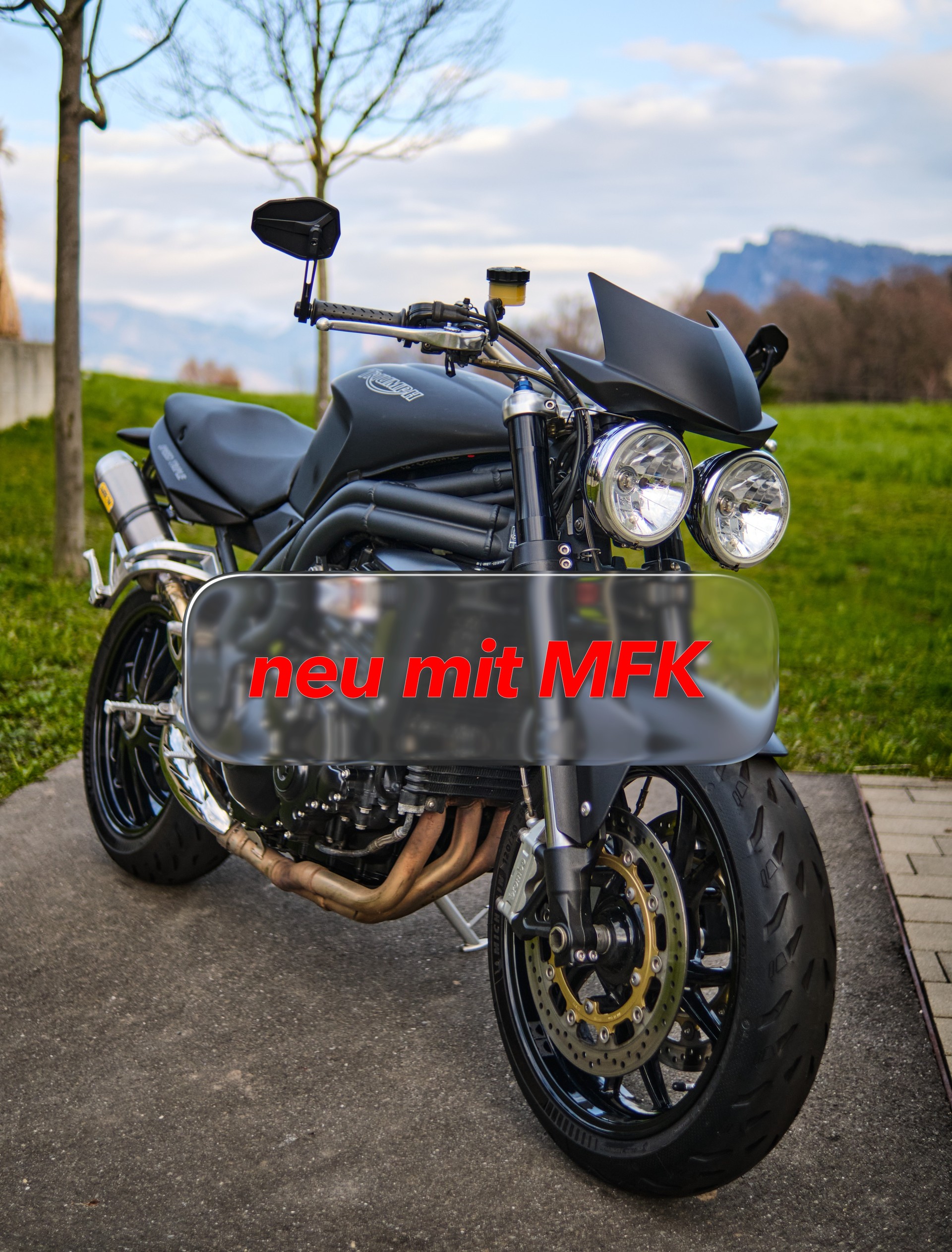 TRIUMPH Speed Triple 1050-image-0