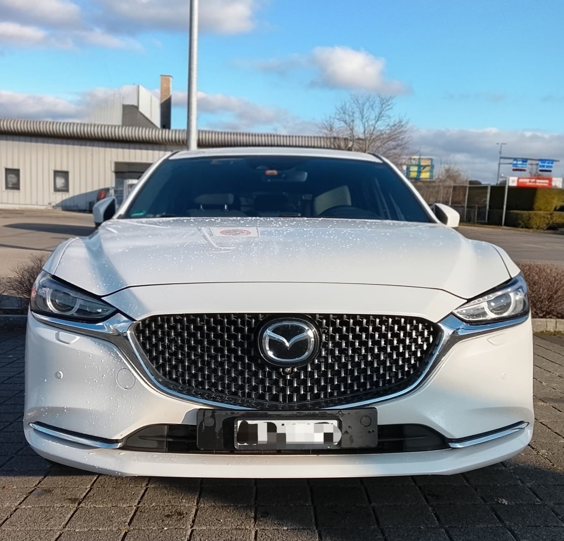 MAZDA Sportsline-image-3
