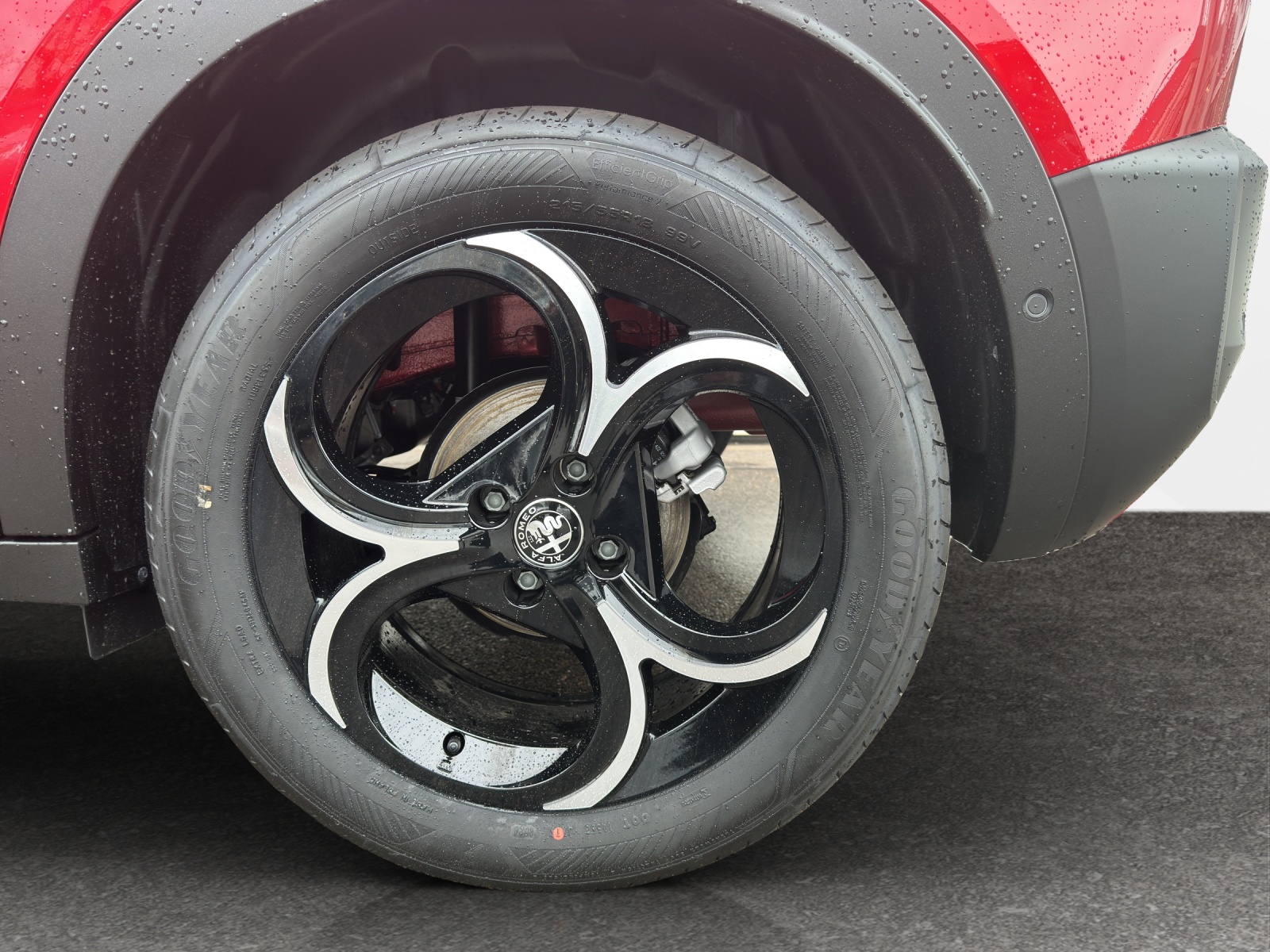 ALFA ROMEO Junior 1.2 Ibrida Speciale-image-15