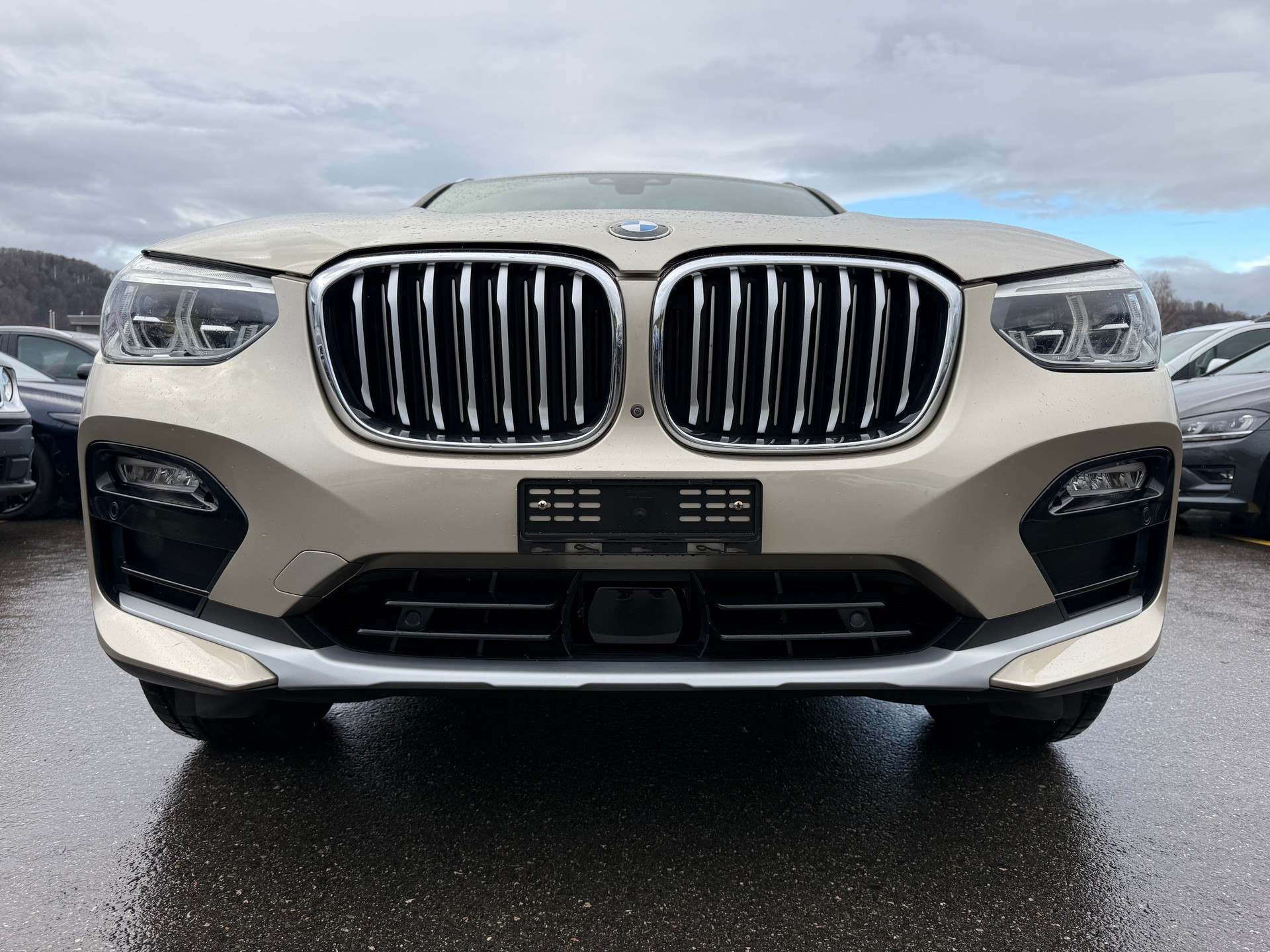 BMW X4 xDrive 30i xLine Steptronic-image-1