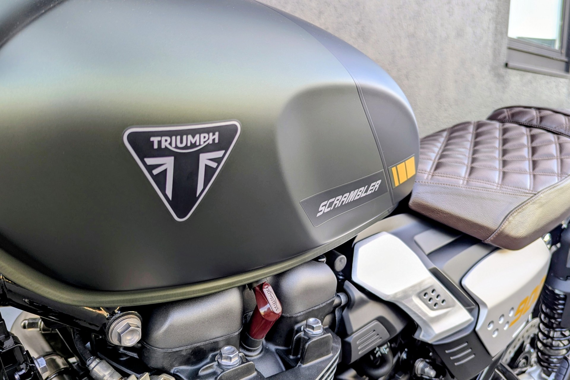 TRIUMPH Scrambler 900-image-8