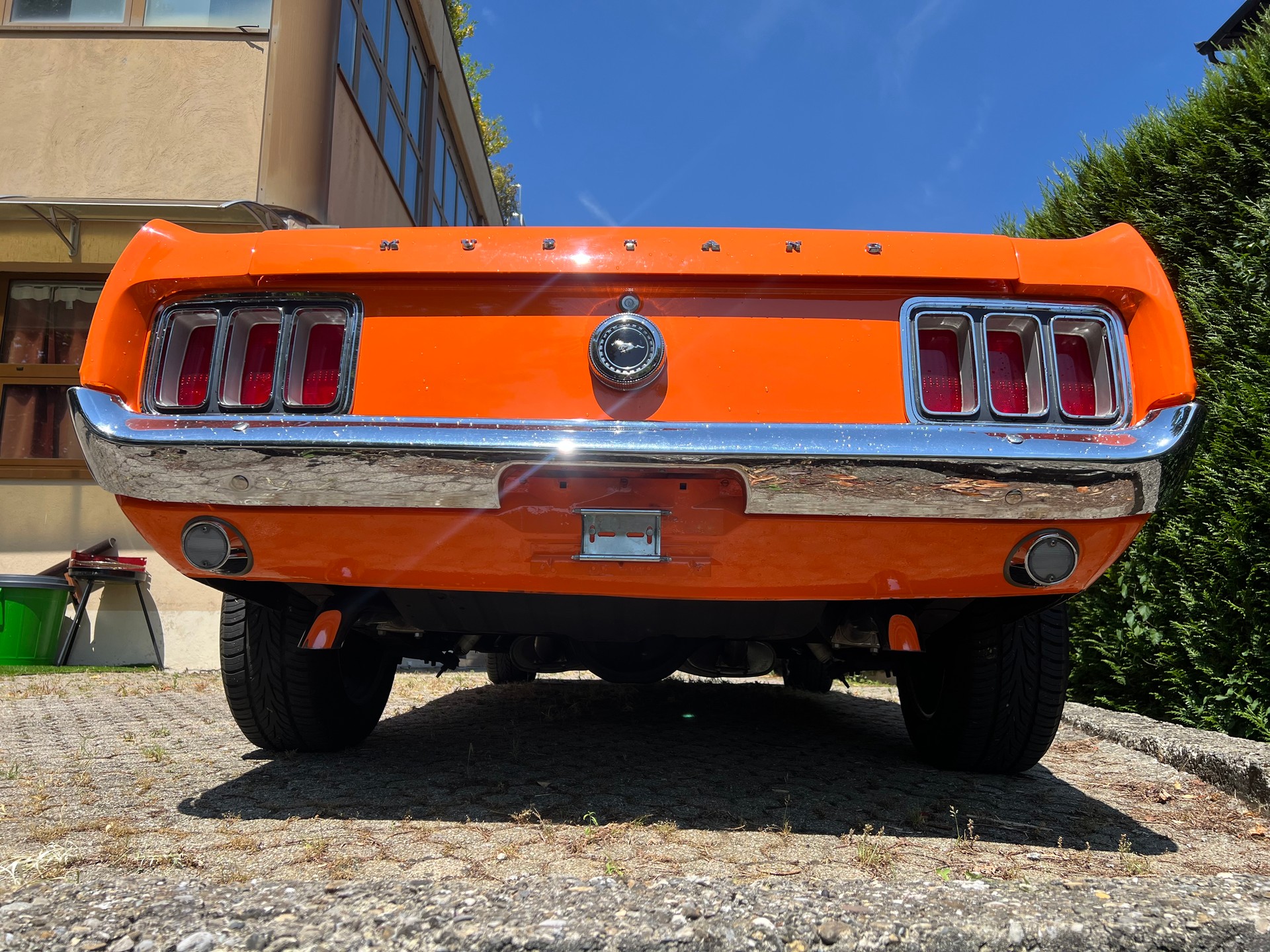 FORD MUSTANG V8-image-1