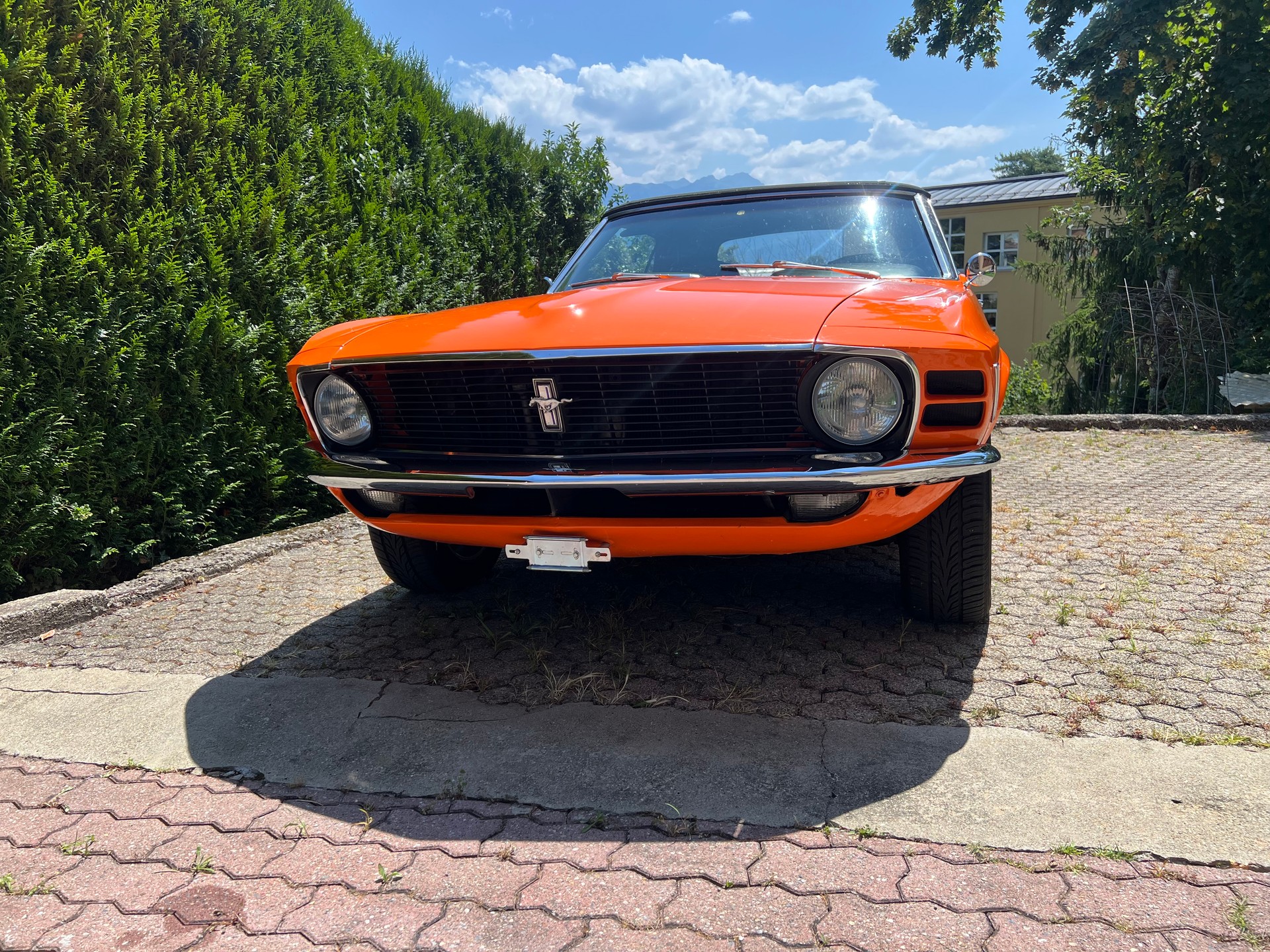 FORD MUSTANG V8-image-5
