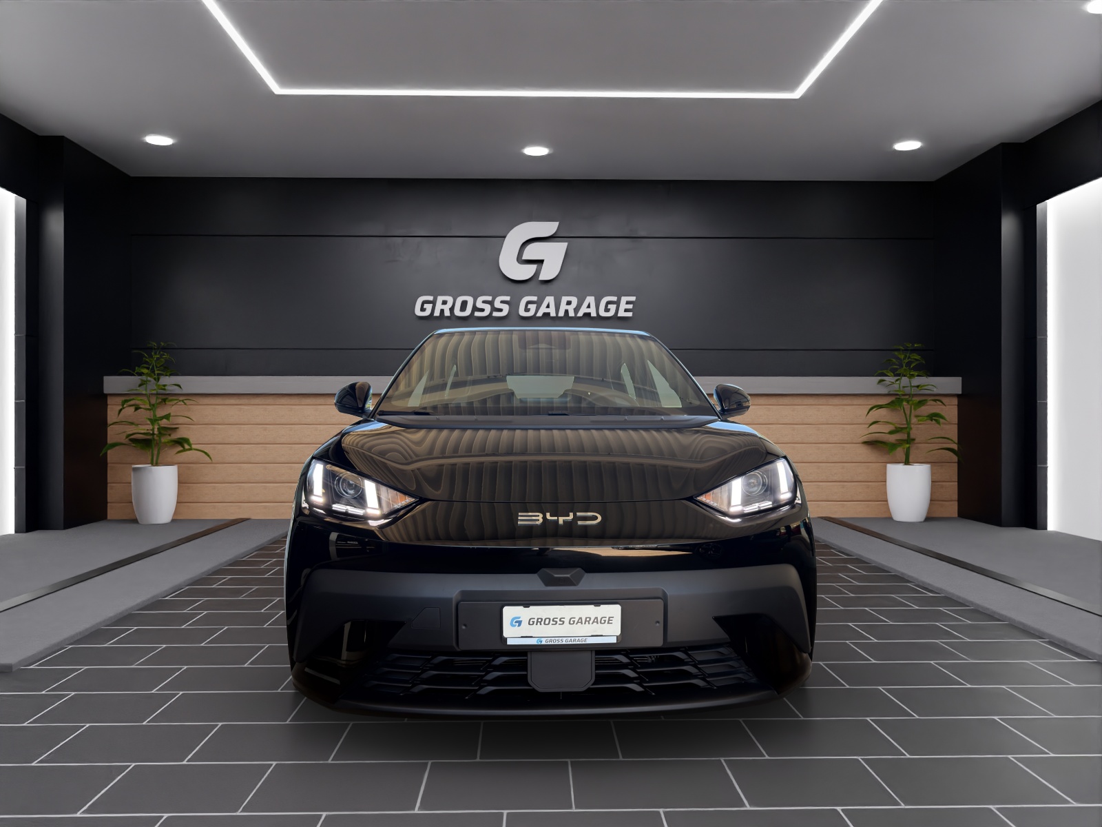 BYD Dolphin Surf Boost 43 kWh-showroom-element-1