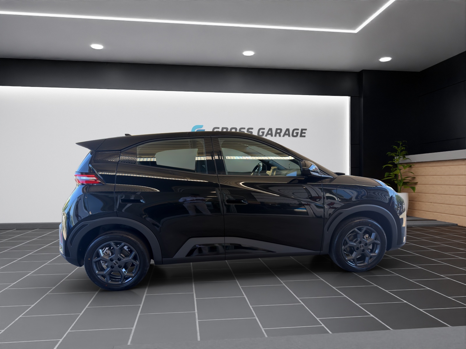 BYD Dolphin Surf Boost 43 kWh-showroom-element-2