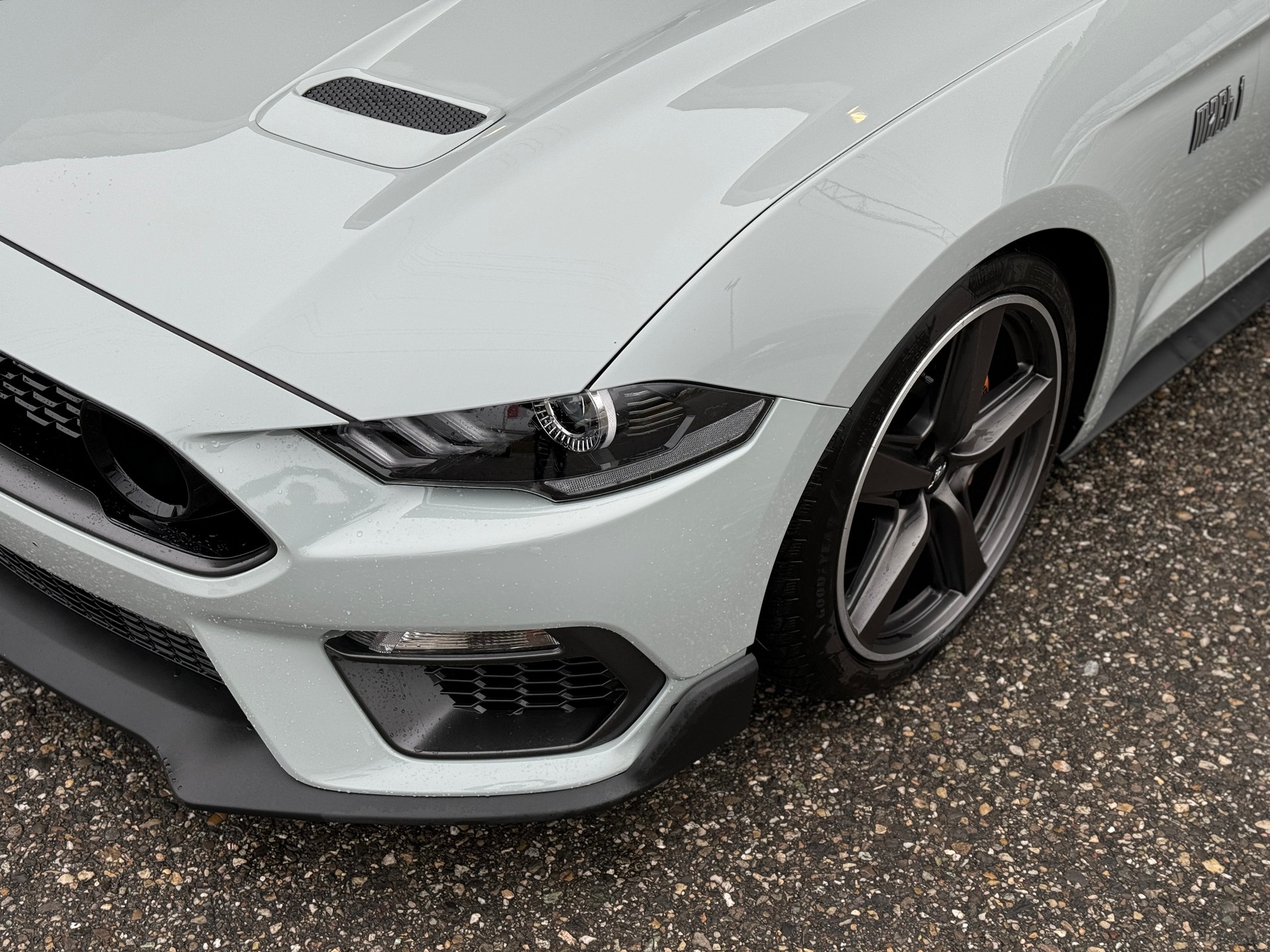 FORD Mustang Fastback 5.0 V8 Mach 1 Automat GRAIL-image-12