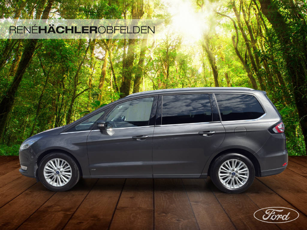 FORD Galaxy 2.0 TDCi 180 Titanium FPS 4x4 7P-showroom-element-1