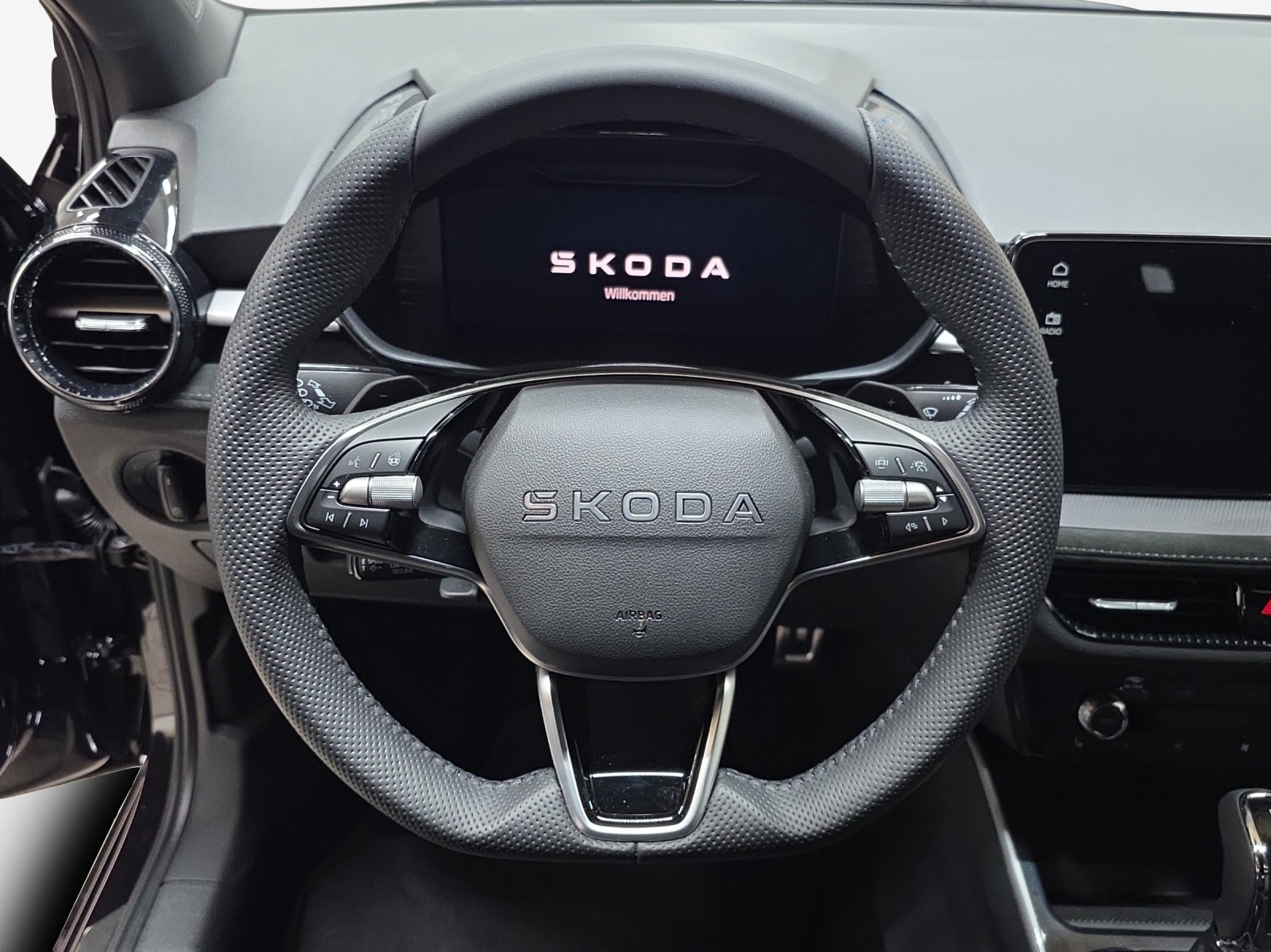 SKODA Fabia 1.5 TSI Dynamic DSG-image-9