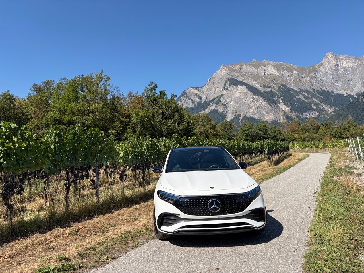 MERCEDES-BENZ EQA 350 Swiss Star AMG Line 4matic-image-1