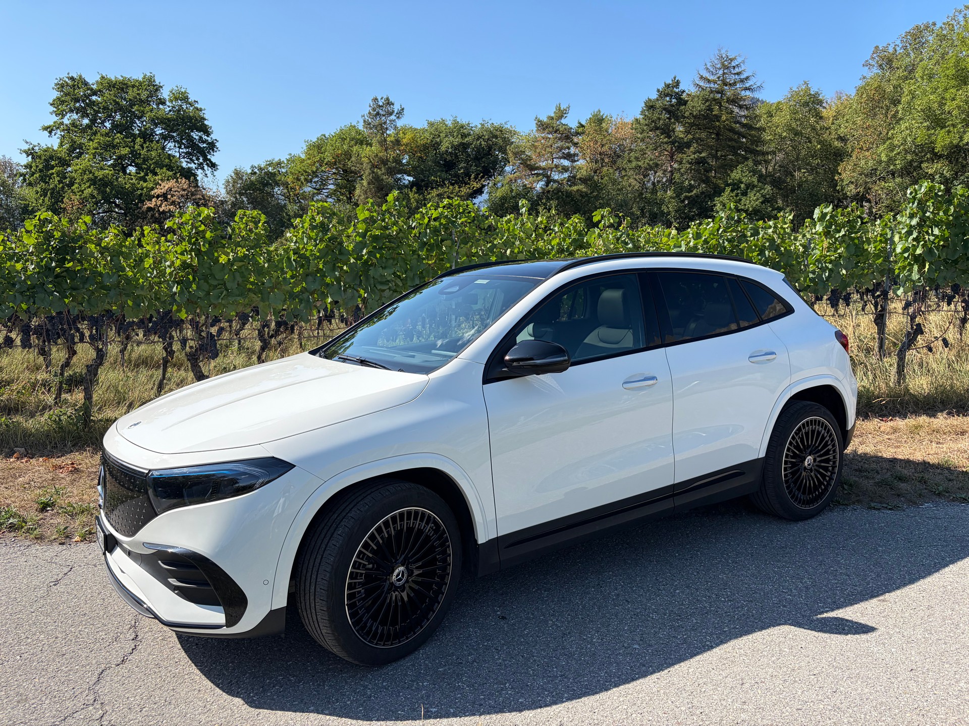 MERCEDES-BENZ EQA 350 Swiss Star AMG Line 4matic-image-16