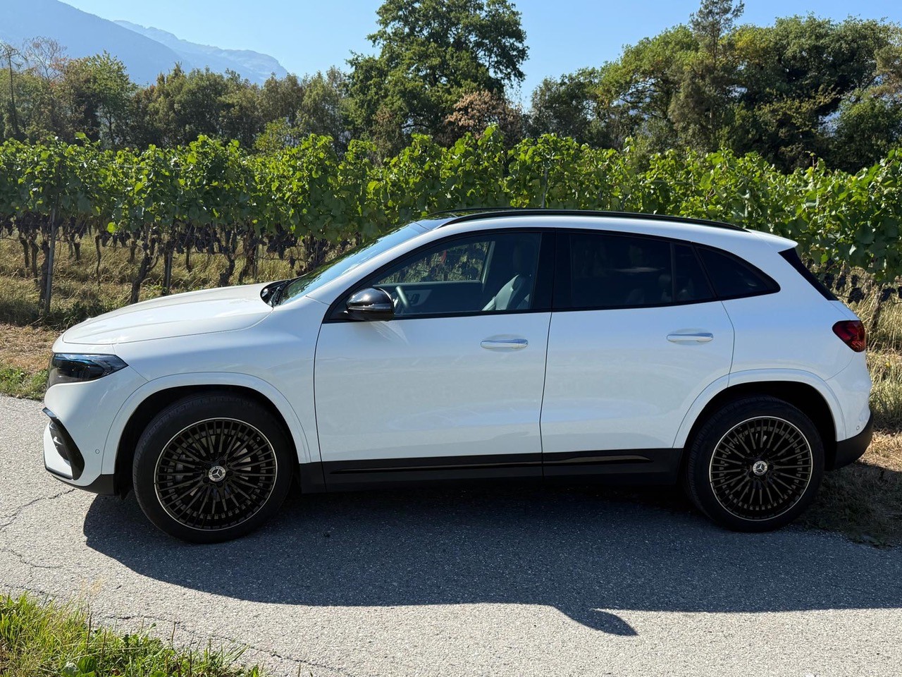 MERCEDES-BENZ EQA 350 Swiss Star AMG Line 4matic-image-7