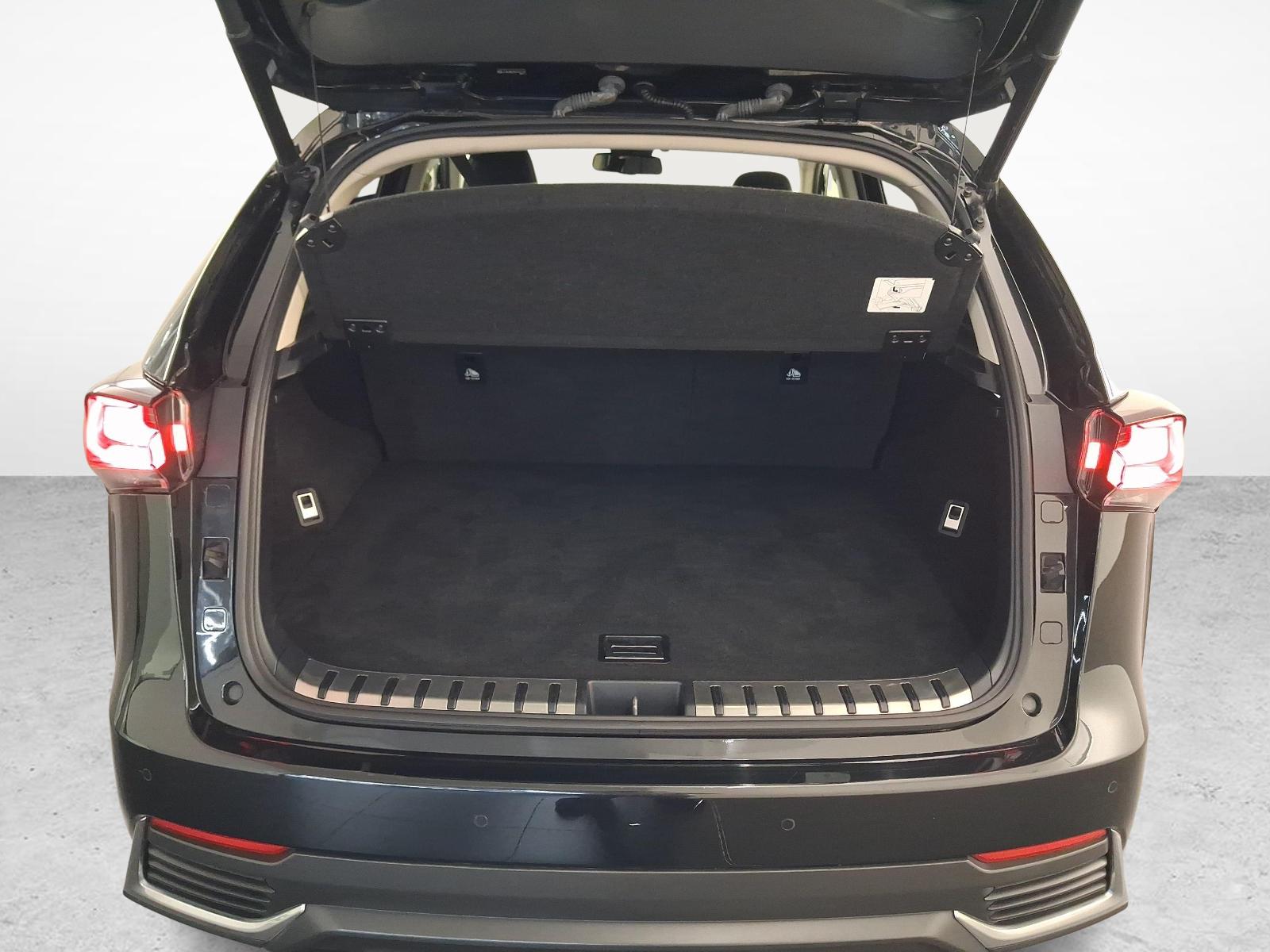 LEXUS NX 300h Special Edition-image-11