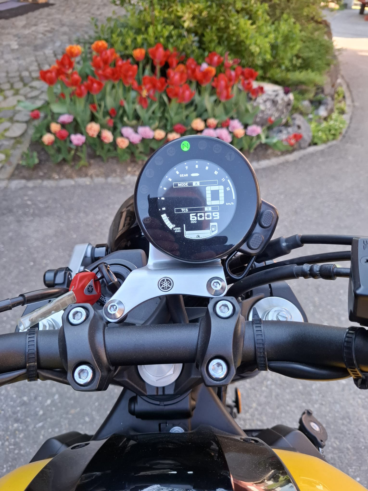 YAMAHA XSR 900 60 Anniversary-image-5