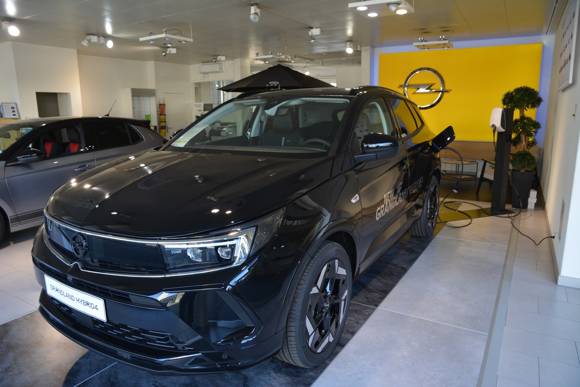 OPEL Grandland Hybrid4 GSe-image-14