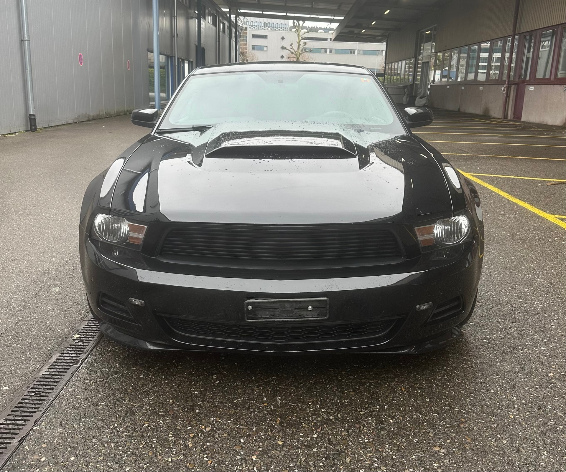 FORD MUSTANG-showroom-element-2