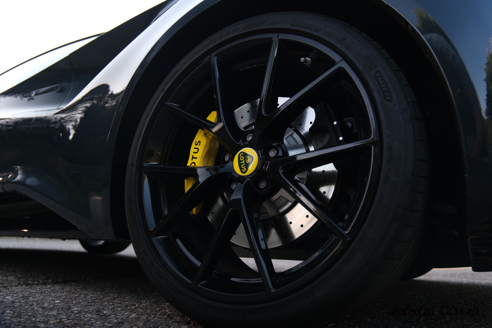 LOTUS First Edition-image-5