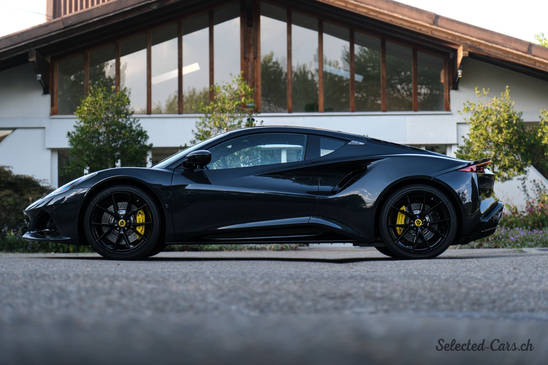 LOTUS First Edition-image-1