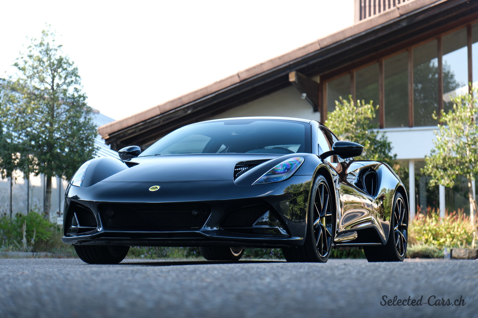 LOTUS First Edition