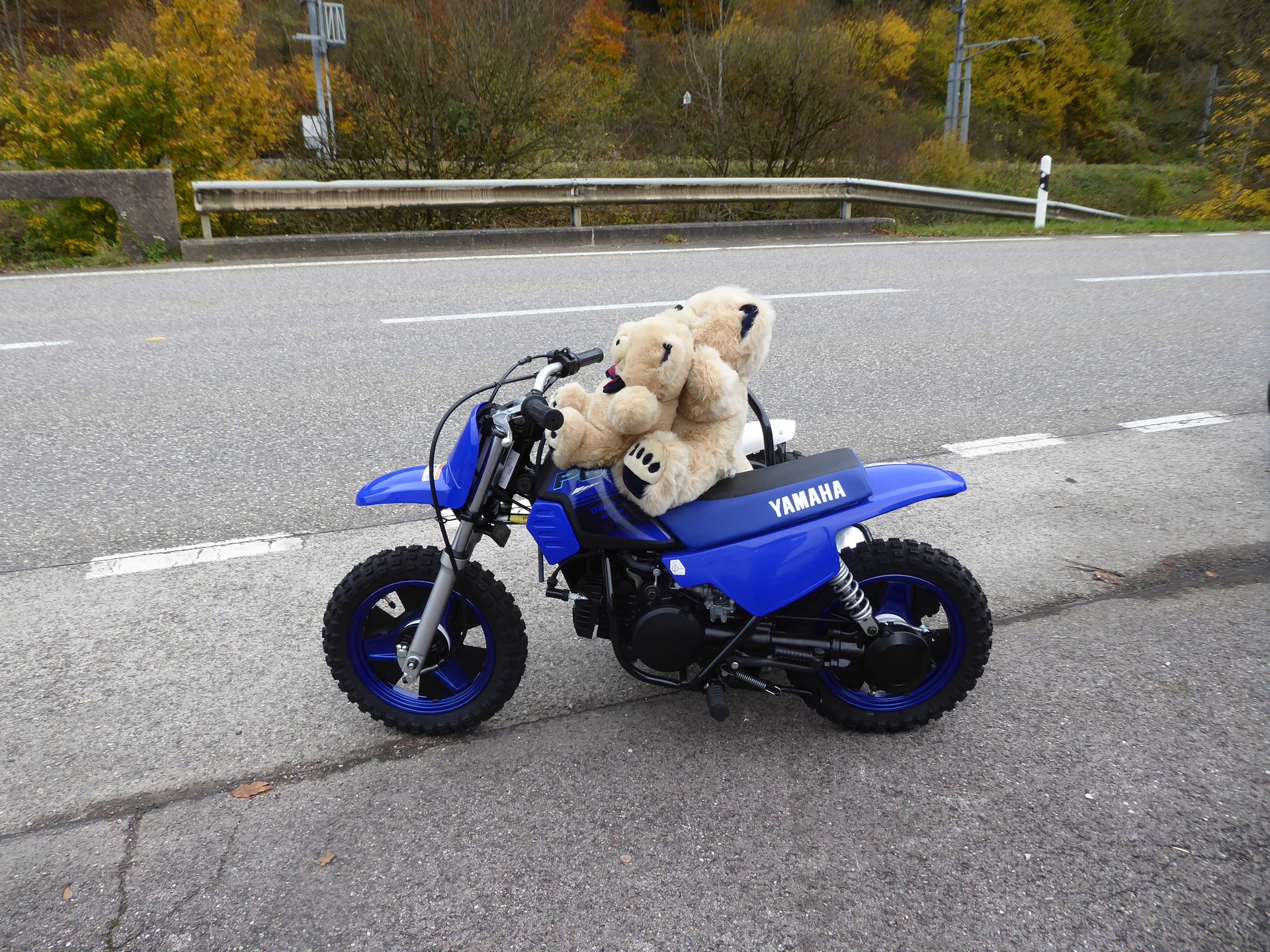 YAMAHA PW50 Side-car-image-0