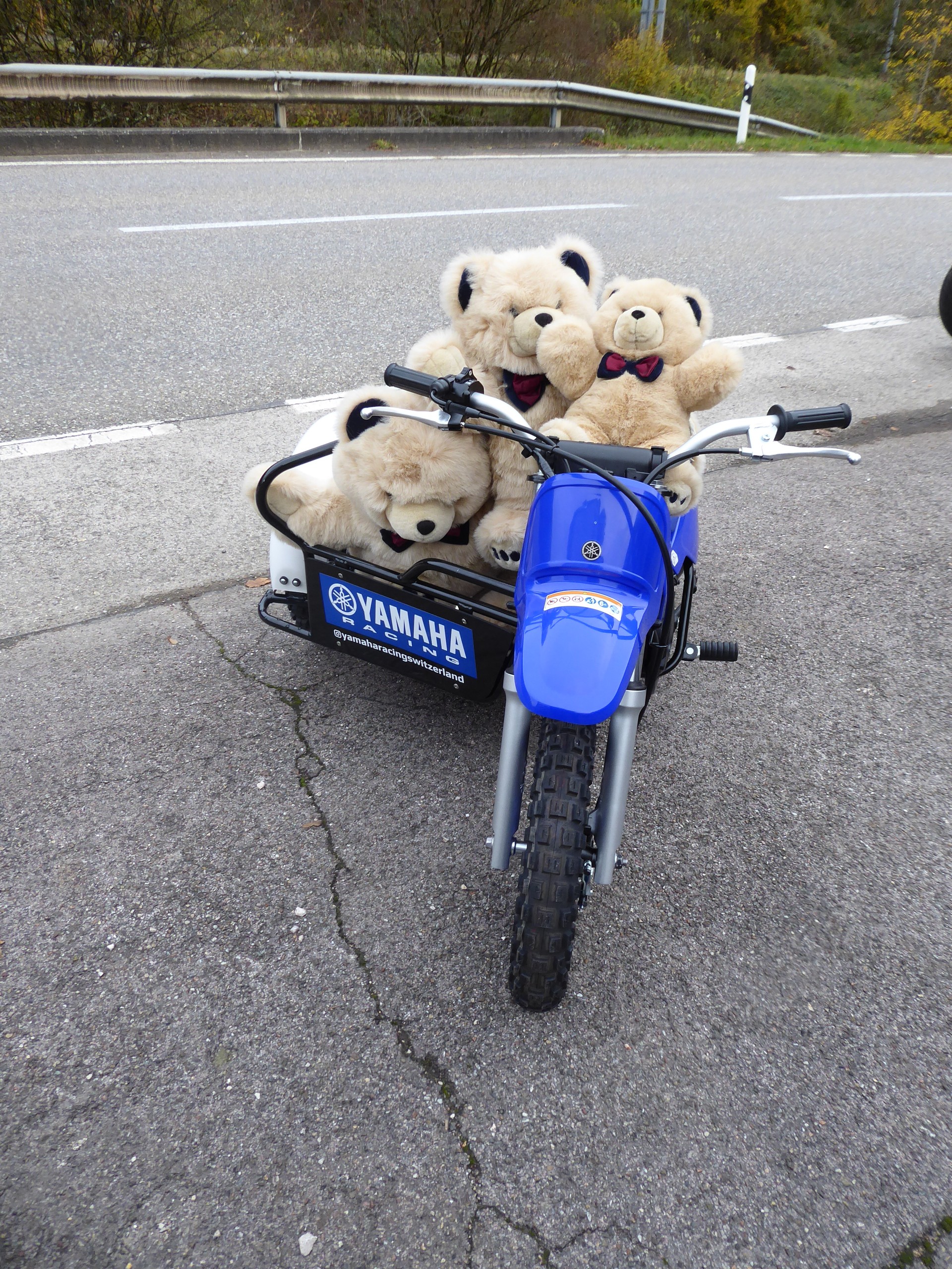 YAMAHA PW50 Side-car-image-1