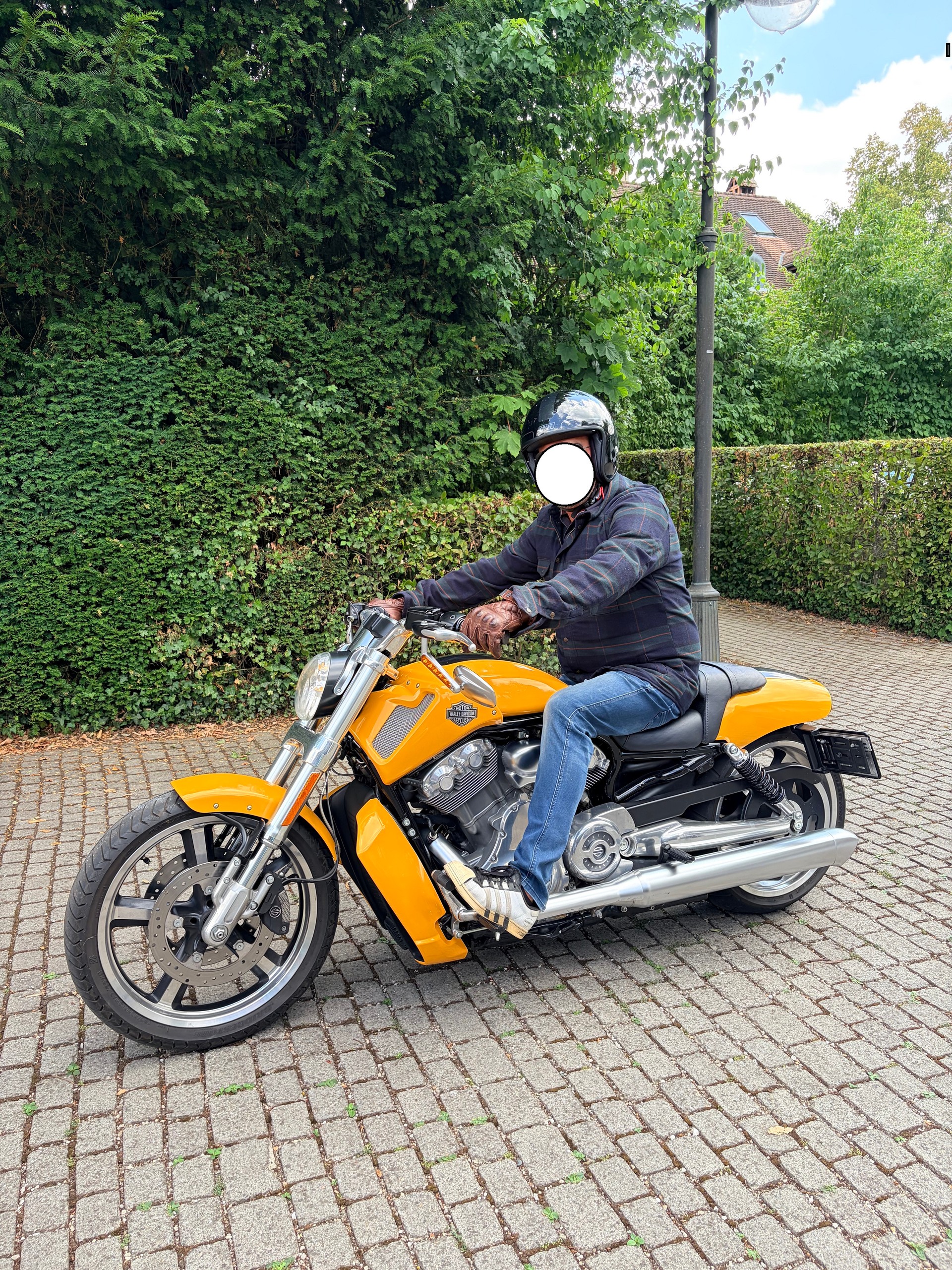 HARLEY-DAVIDSON VRSCF V-Rod Muscle ABS-image-3