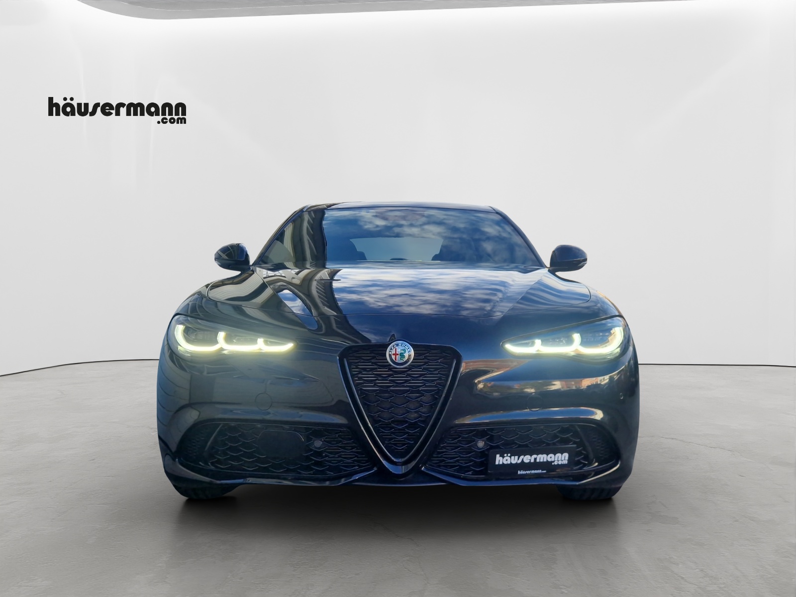 ALFA ROMEO Giulia 2.0 Q4 Sprint Edition-showroom-element-1