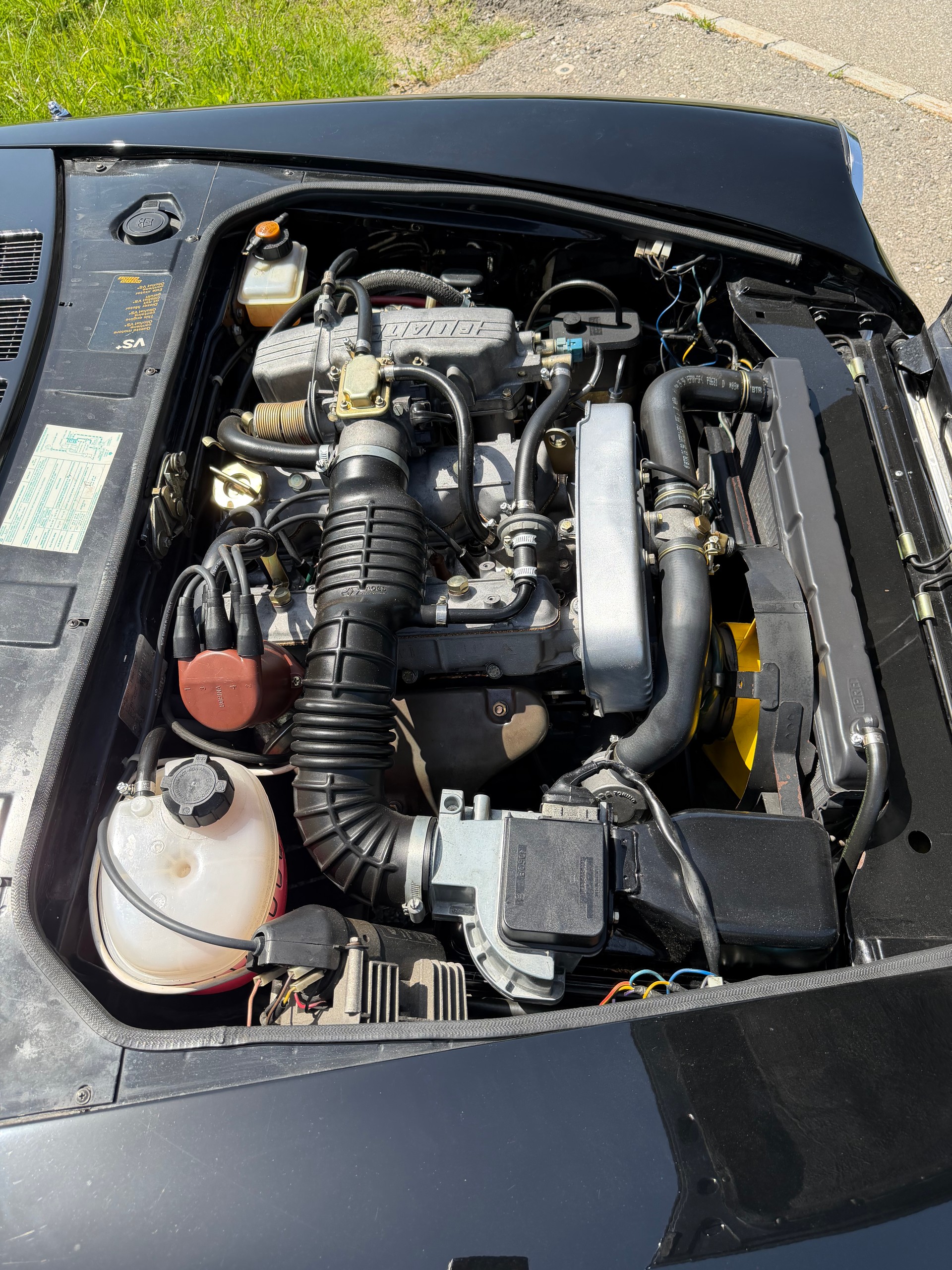 FIAT Spider Europa / Pininfarina-image-5