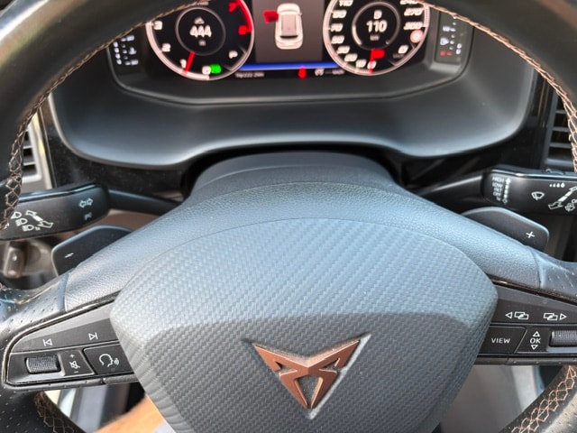 CUPRA Ateca 2.0TSI 4Drive DSG-image-22