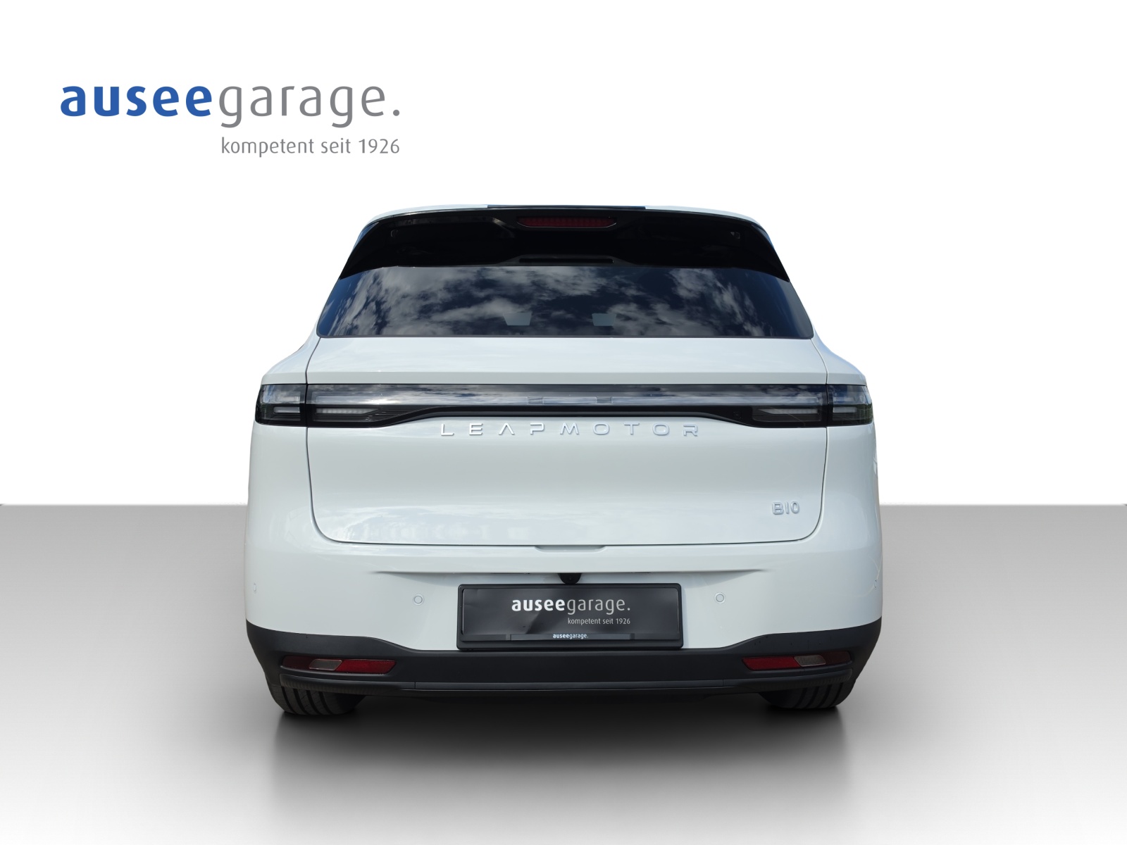 LEAPMOTOR B10 EV-showroom-element-3