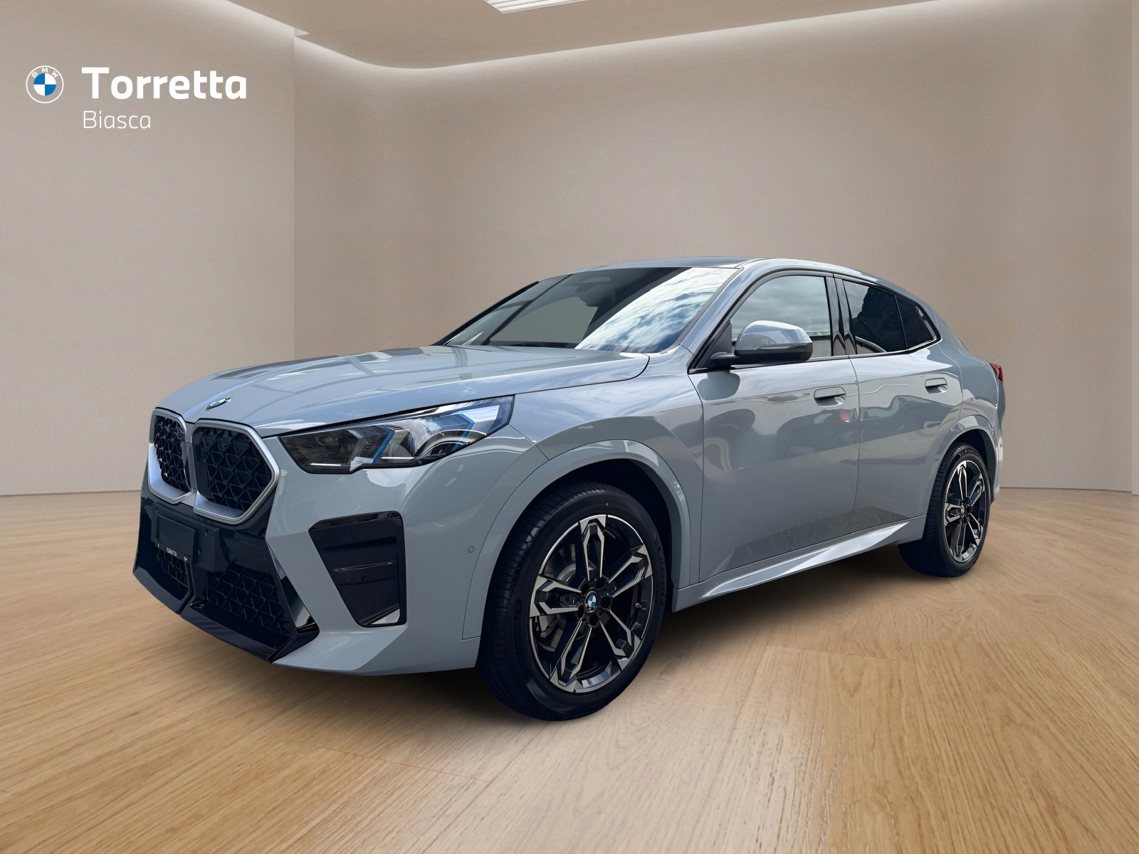 BMW X2 sDrive 20i 48V M Sport