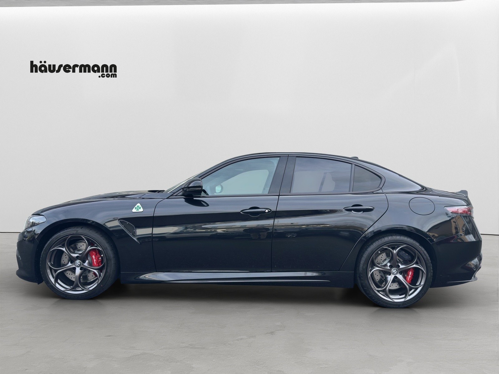 ALFA ROMEO Giulia 2.9 V6 Biturbo Quadrifoglio Pack Performante-showroom-element-2