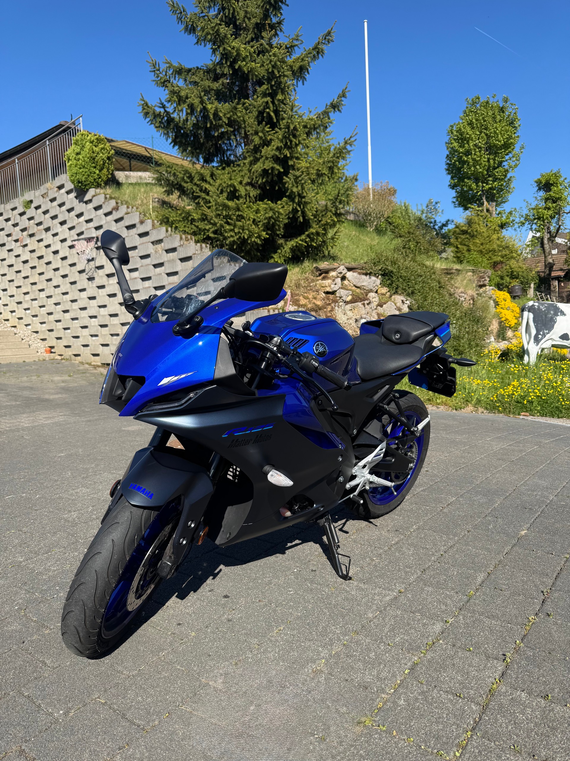 YAMAHA YZF-R 125-image-0