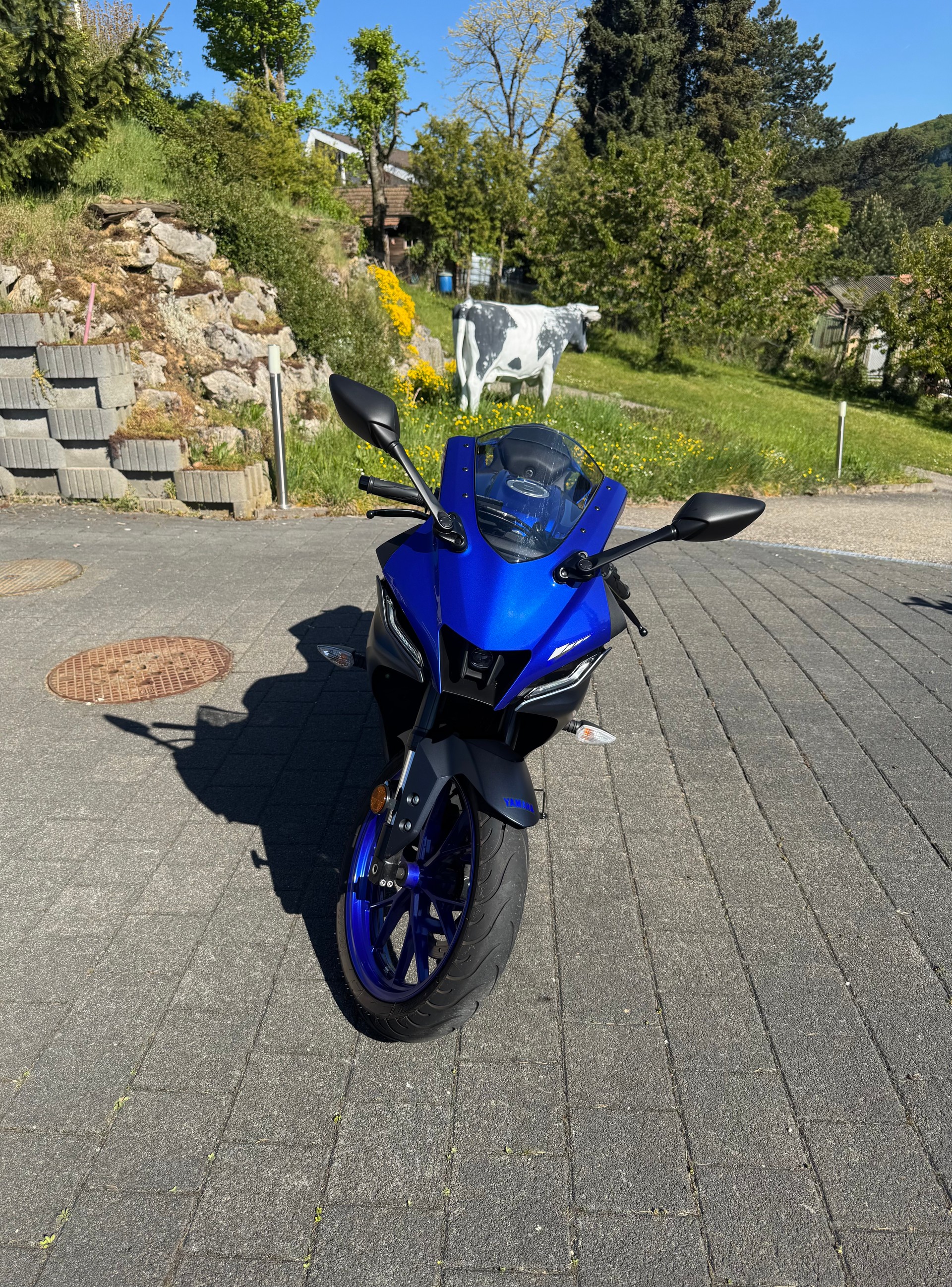 YAMAHA YZF-R 125-image-2