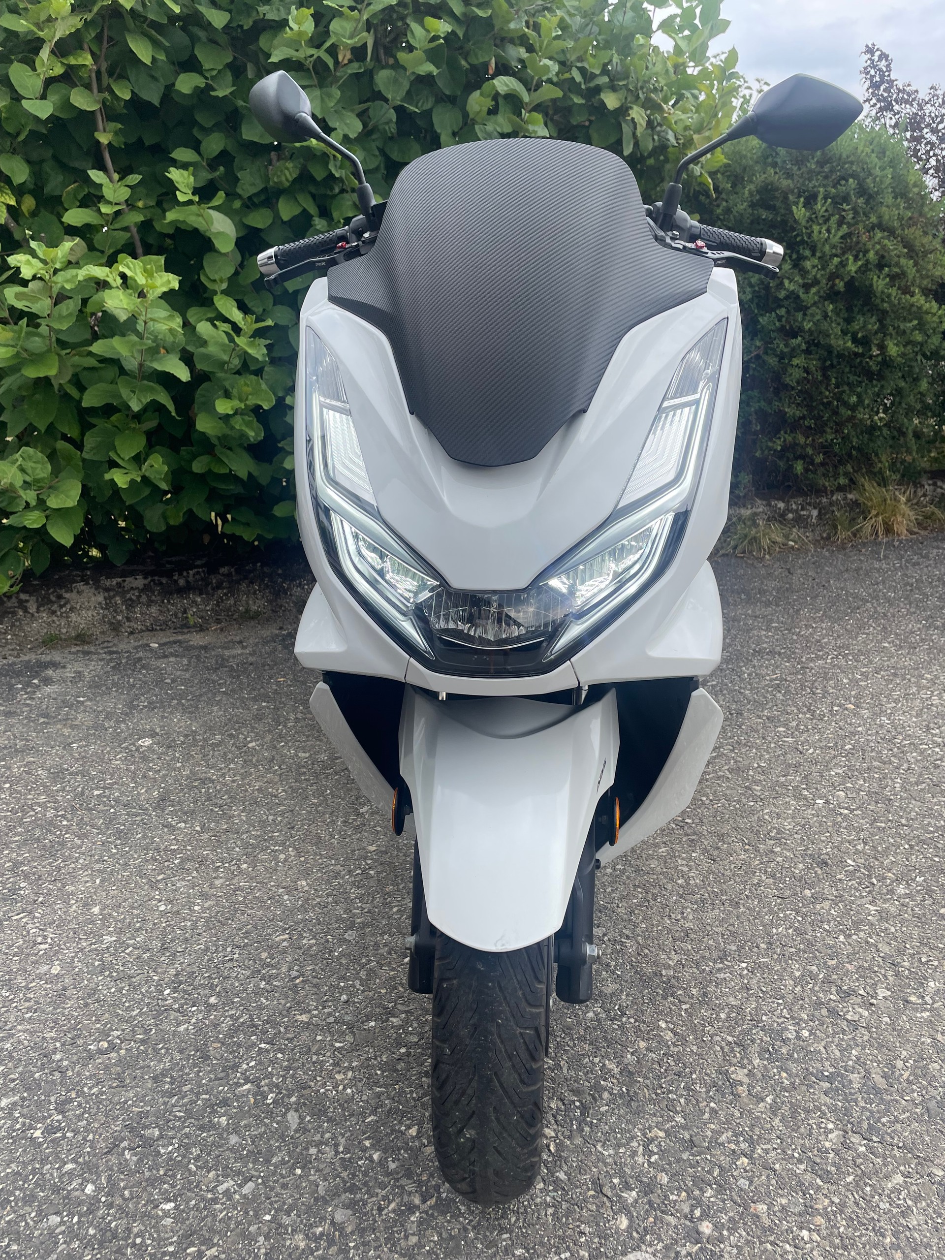 HONDA PCX-image-6