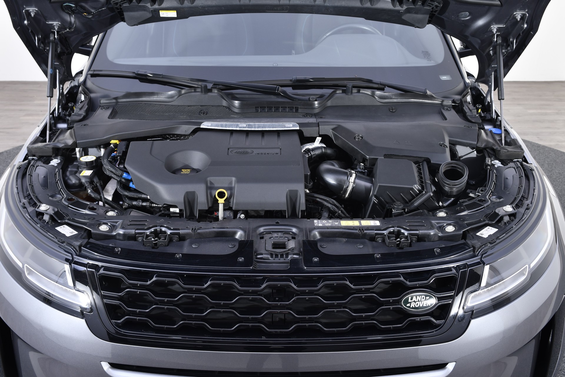 LAND ROVER Range Rover Evoque D 165 MHEV S AT9-image-22